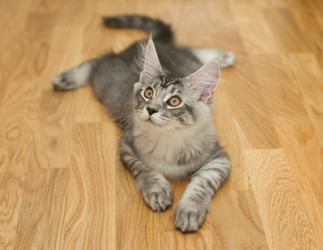 Similar image 7426224