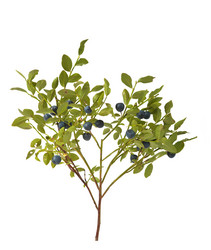 Similar image 7426225