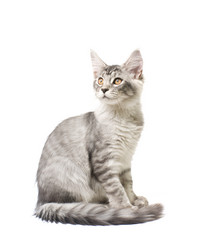 Similar image 7426226