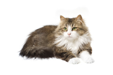 Similar image 7426228