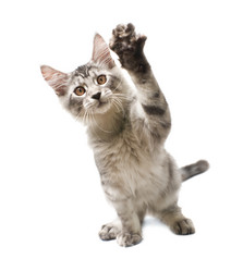 Similar image 7426229