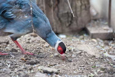 Similar image 7426248