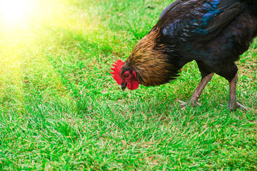 Similar image 7426276