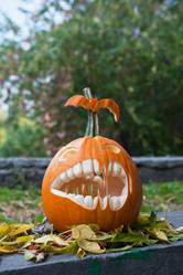 Similar image 7426279