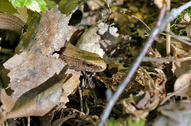 Similar image 7426289