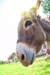 Similar image 7426295