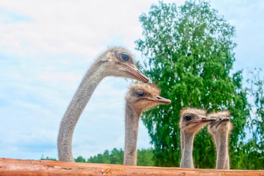 Similar image 7426308