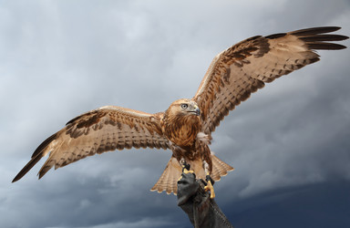 Similar image 7426312