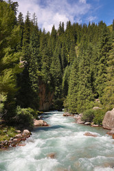 Similar image 7426314