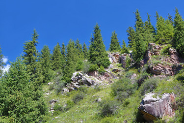 Similar image 7426315