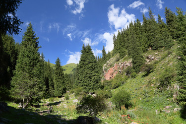 Similar image 7426316