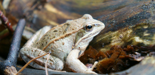 Similar image 7426349