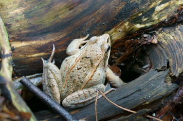 Similar image 7426427