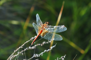 Similar image 7426428