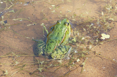 Similar image 7426429