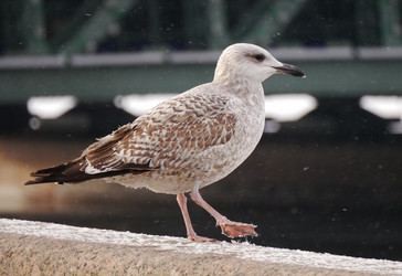 Similar image 7426746