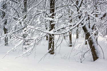 Similar image 7426751