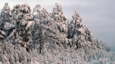 Similar image 7426759