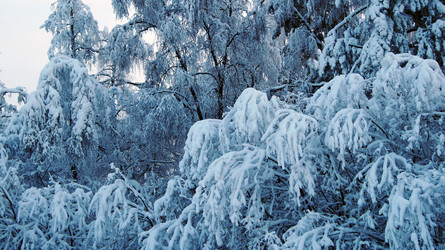 Similar image 7426760