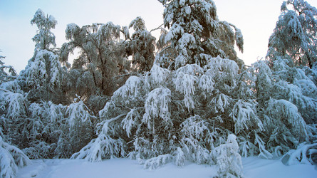 Similar image 7426762