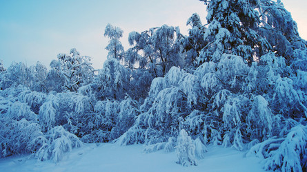 Similar image 7426763