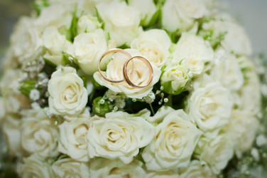 Similar image 7426768