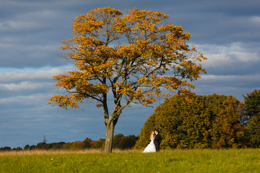 Similar image 7426858