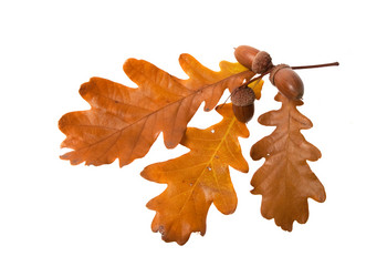 Similar image 7426940