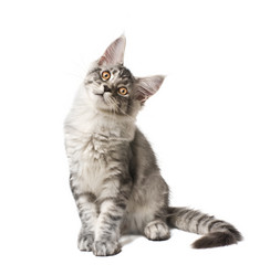 Similar image 7426941