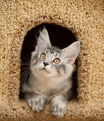 Similar image 7426942