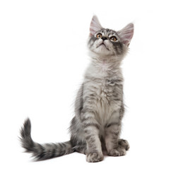 Similar image 7426943