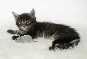 Similar image 7426945