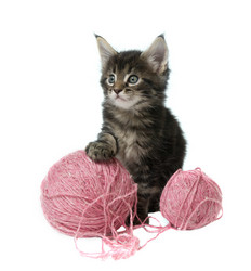 Similar image 7426946