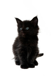 Similar image 7426947