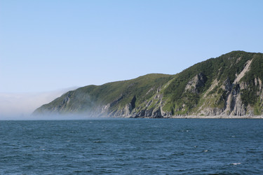 Similar image 7427006