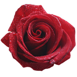 Similar image 7427026