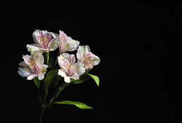 Similar image 7427029