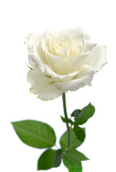 Similar image 7427030