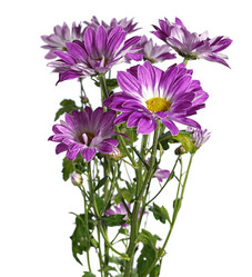 Similar image 7427031