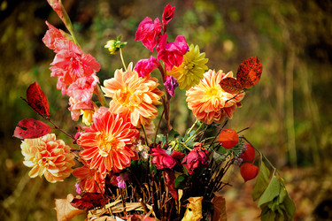 Similar image 7427033