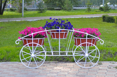 Similar image 7427052