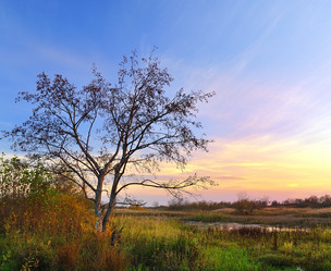 Similar image 7427062