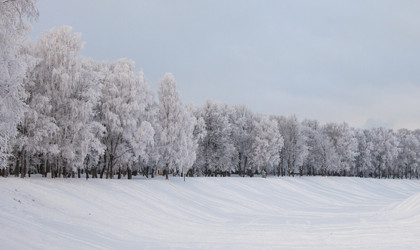 Similar image 7427116