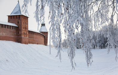 Similar image 7427120