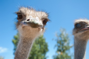 Similar image 7427501