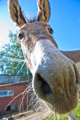 Similar image 7427502