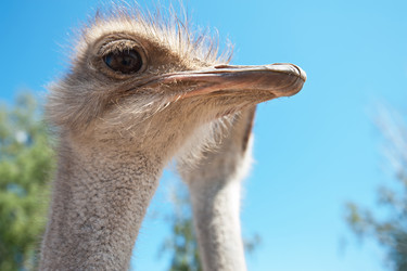 Similar image 7427507