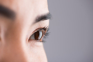 Similar image 7427861