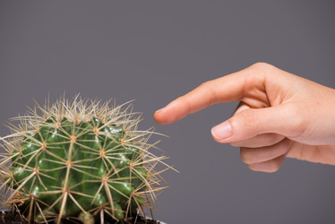 Similar image 7427869