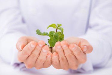 Similar image 7427881